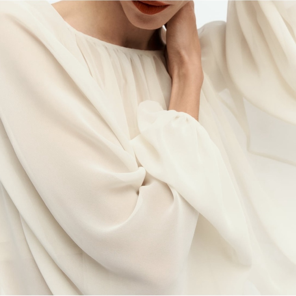 Zara Sheer Open Back Top